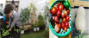 espais-naturals-escola-bressol