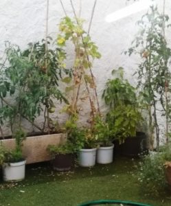 hort-llar-infants-casamada